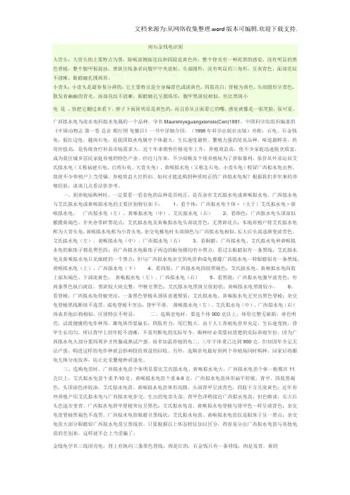 南石金钱龟识别