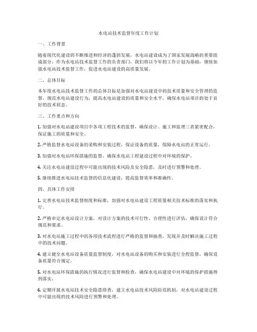 水电站技术监督年度工作计划