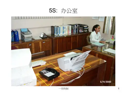 5S世界级工厂行业严选