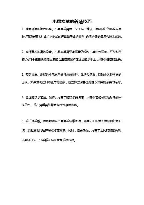 小尾寒羊的养殖技巧