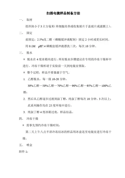 扫描电镜 样品制备方法