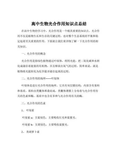 高中生物光合作用知识点总结