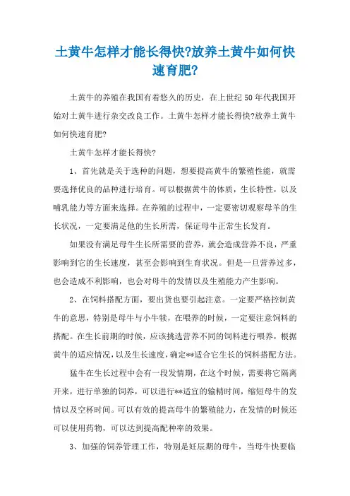 土黄牛怎样才能长得快-放养土黄牛如何快速育肥-