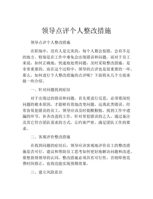 领导点评个人整改措施