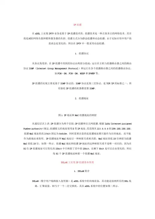 DSLAM IP组播