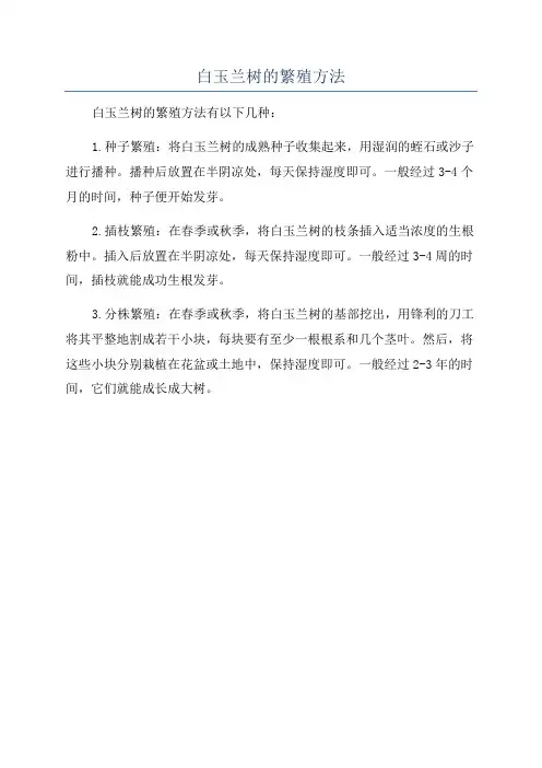 白玉兰树的繁殖方法
