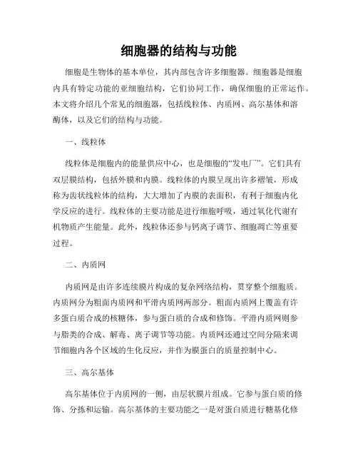 细胞器的结构与功能