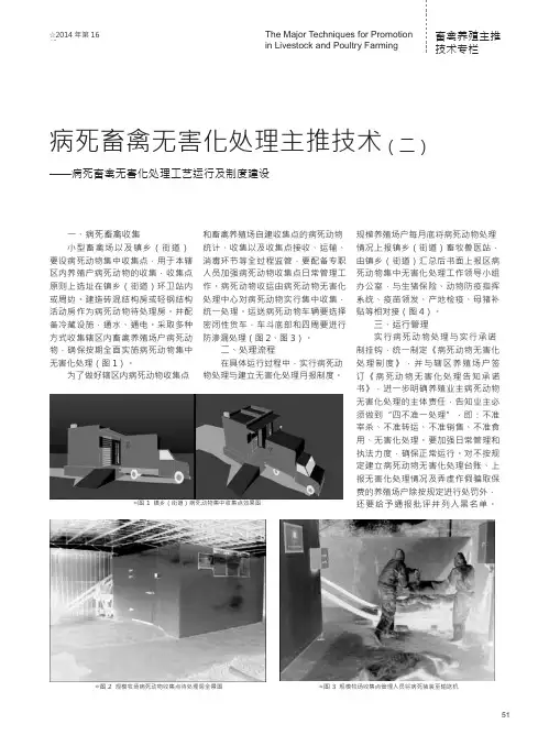 病死畜禽无害化处理主推技术二-----畜禽无害化处理工艺运行及制度建设_