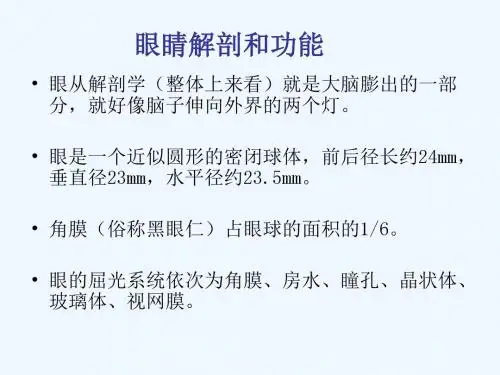 眼科常见病及护眼保健.ppt