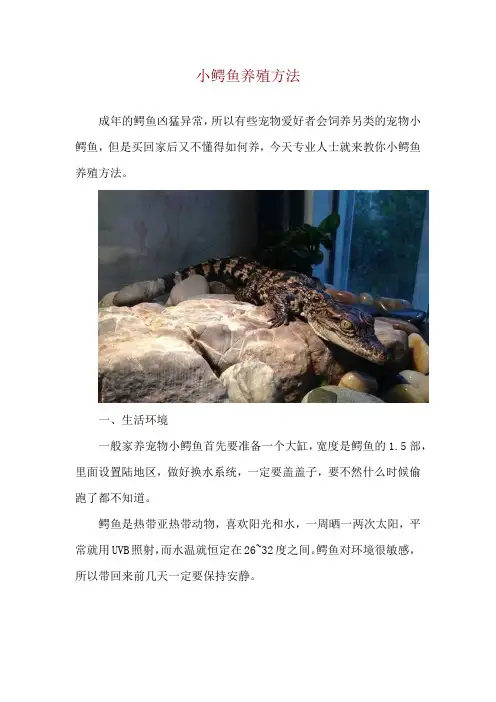 小鳄鱼养殖方法