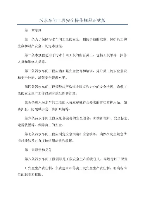 污水车间工段安全操作规程正式版