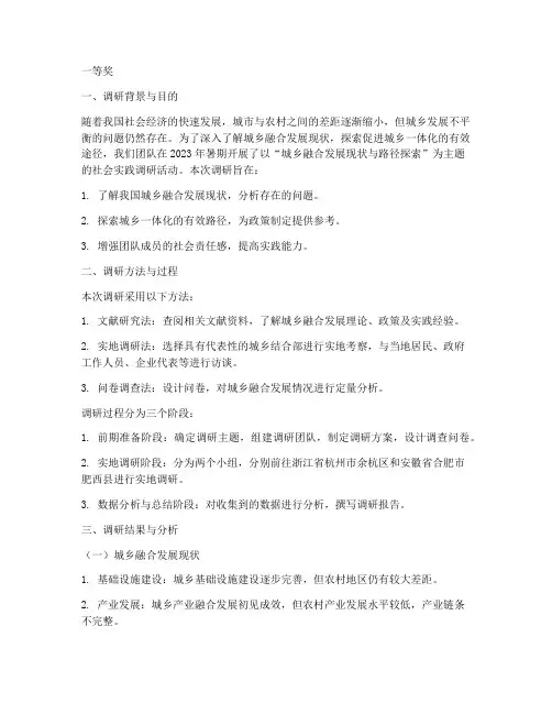 社会实践调研报告一等奖