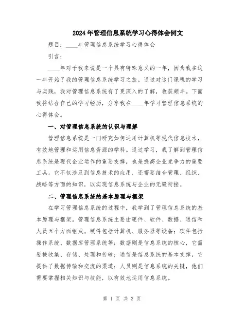 2024年管理信息系统学习心得体会例文