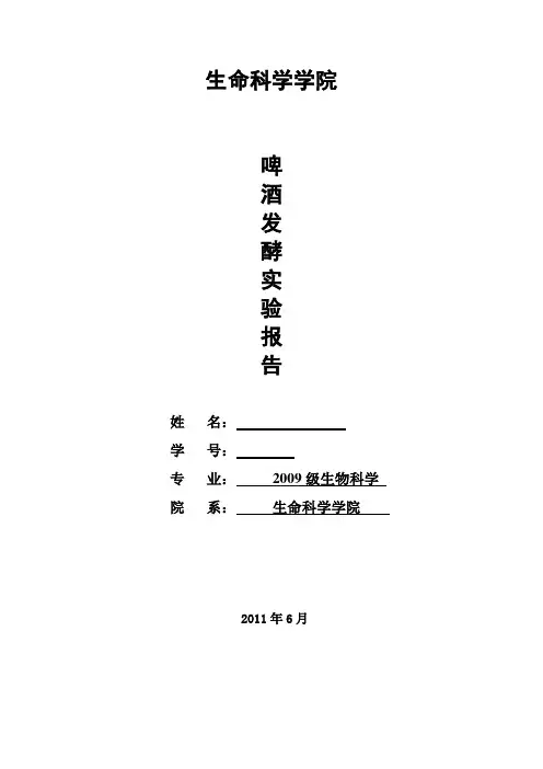 啤酒发酵论文