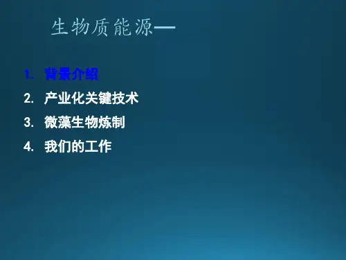 生物质能源-微藻