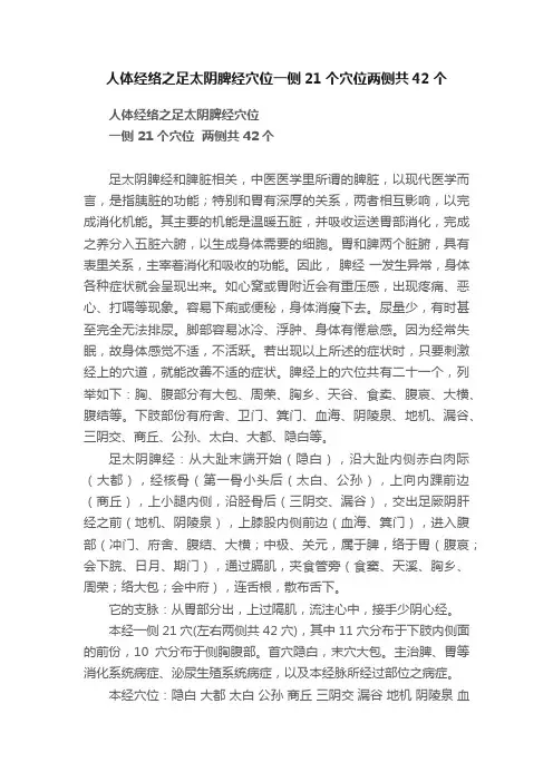 人体经络之足太阴脾经穴位一侧21个穴位两侧共42个