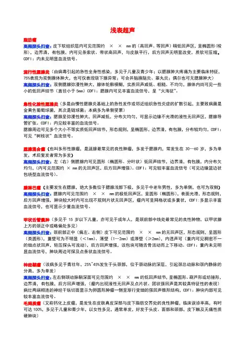 超声报告模板