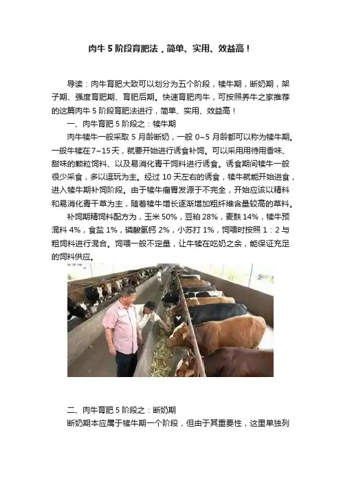 肉牛5阶段育肥法，简单、实用、效益高！
