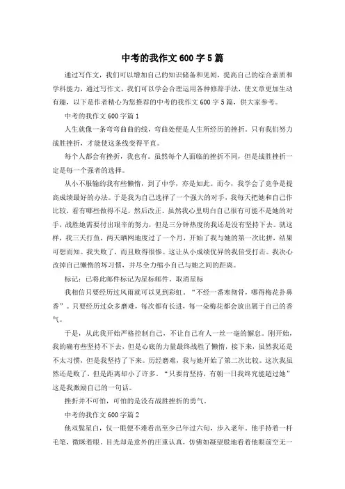 中考的我作文600字5篇