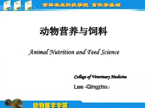饲料分类及粗饲料