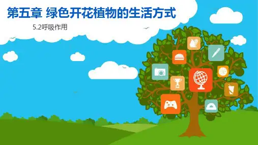 5.2呼吸作用课件北师大版生物七年级上册