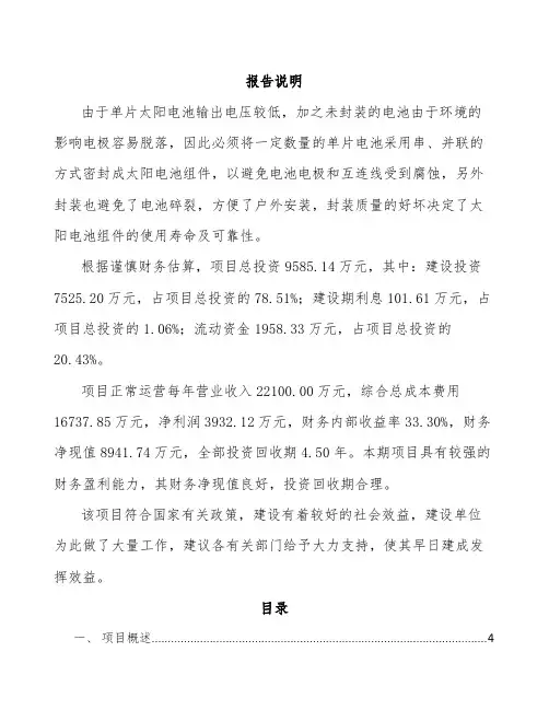 光伏组件项目经济数据分析