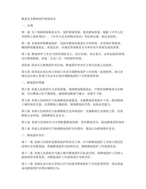 粮食安全耕地保护制度范本