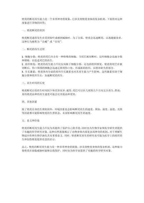 壁虎的断尾再生能力