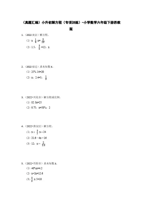 (真题汇编)小升初解方程(专项训练)-小学数学六年级下册苏教版(含解析)