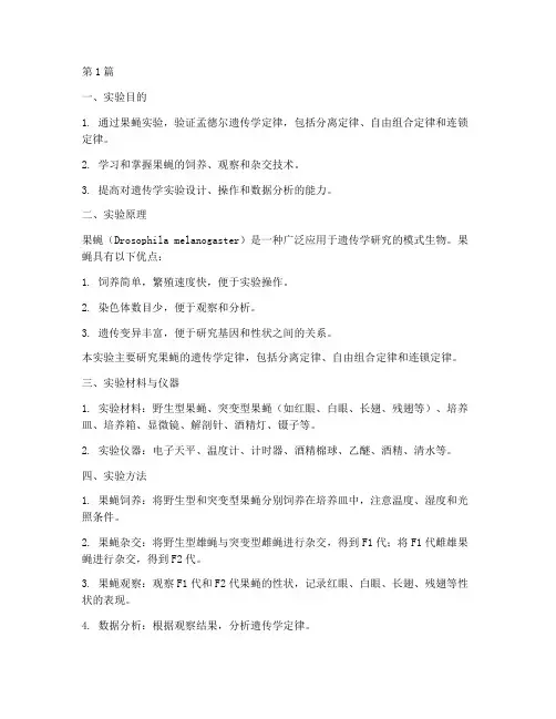 果蝇的相关实验报告(3篇)
