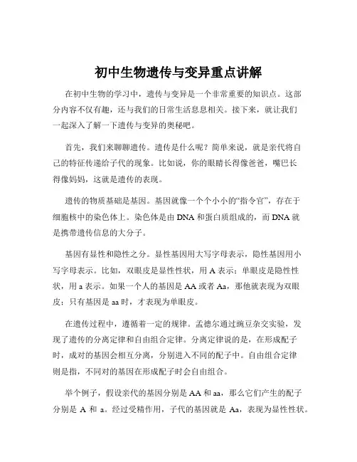 初中生物遗传与变异重点讲解