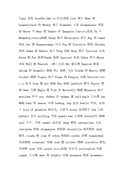 不同动物的英文名
