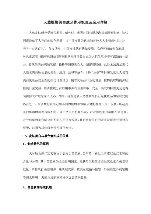 天然植物美白成分作用机理及应用详解