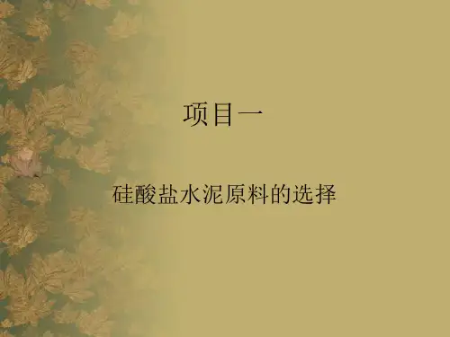 1 硅酸盐水泥原料的选择
