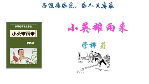 (六上)语文优秀课件《小英雄雨来》名著导读 (20页)部编版