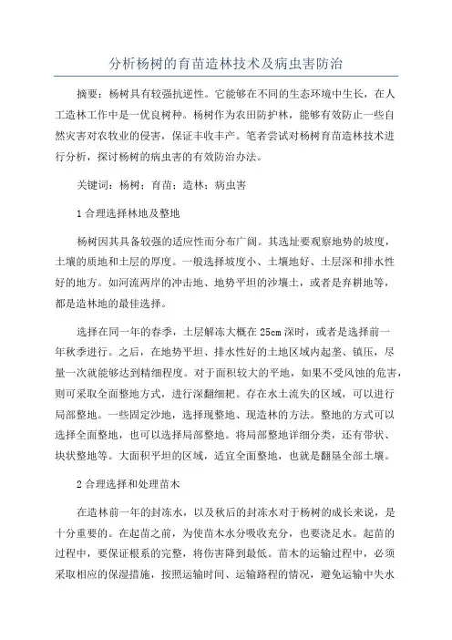 分析杨树的育苗造林技术及病虫害防治