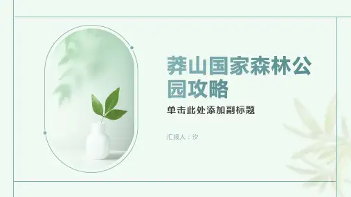 莽山国家森林公园攻略