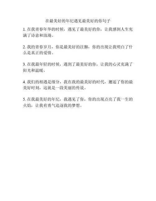 在最美好的年纪遇见最美好的你句子