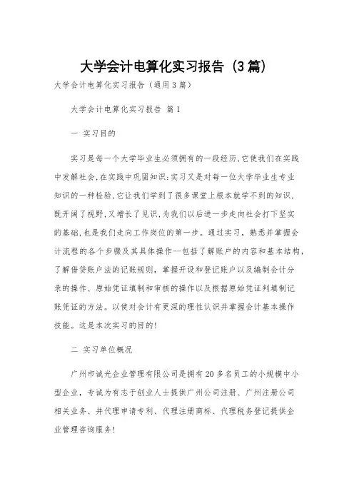 大学会计电算化实习报告(3篇)