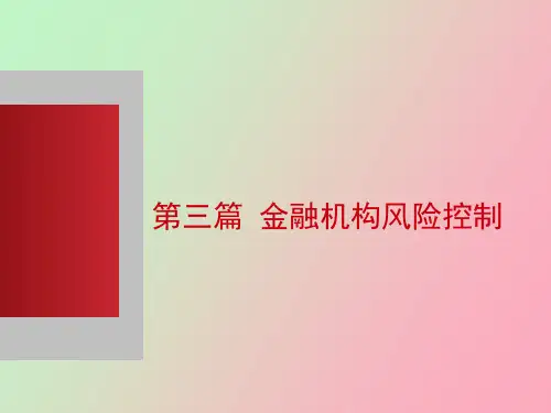 金融机构风险管理第九章