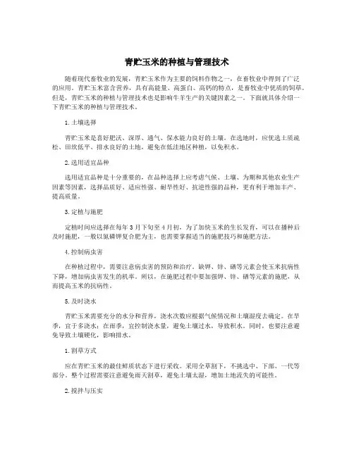 青贮玉米的种植与管理技术