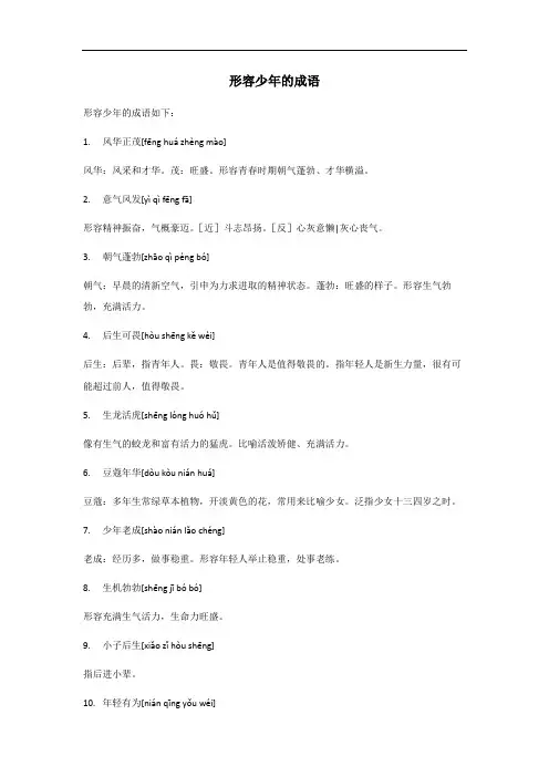 形容少年的