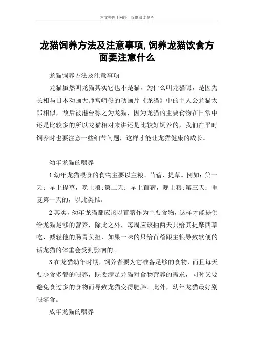 龙猫饲养方法及注意事项,饲养龙猫饮食方面要注意什么