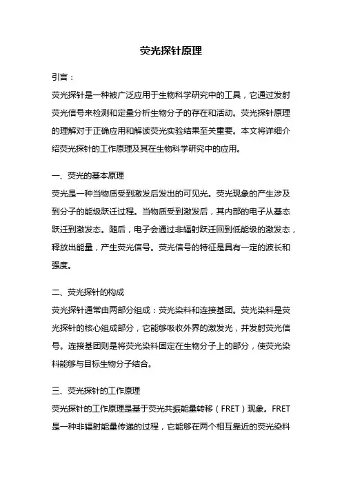 荧光探针原理