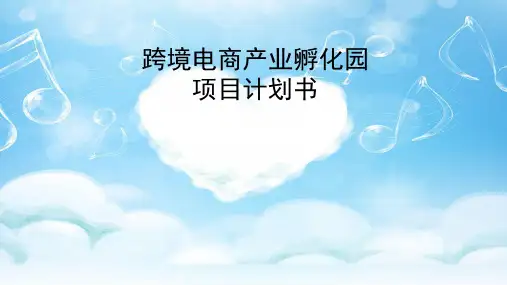 跨境电商产业孵化园项目计划书