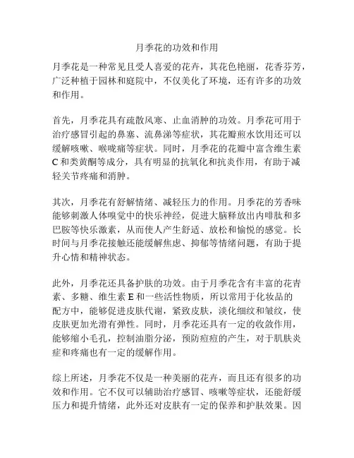 月季花的功效和作用