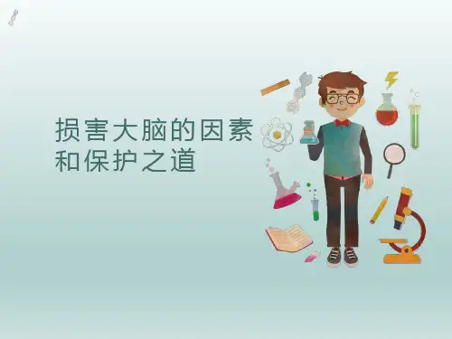 损害大脑的因素和保护之道   主题班会课件