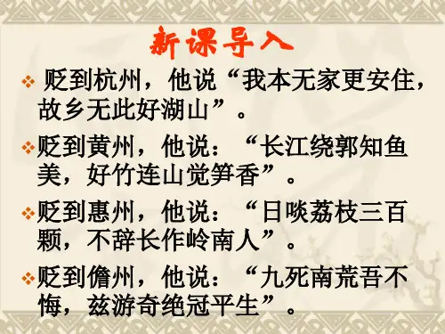 苏轼《定风波》优秀课件