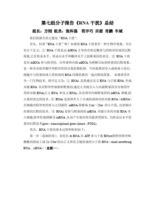 第七组分子报告《RNA干扰》总结