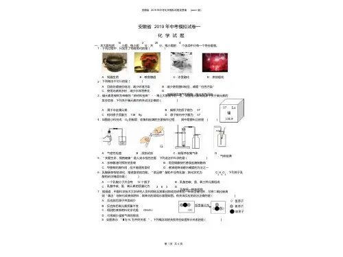 安徽省2019年中考化学模拟试卷及答案(word版)